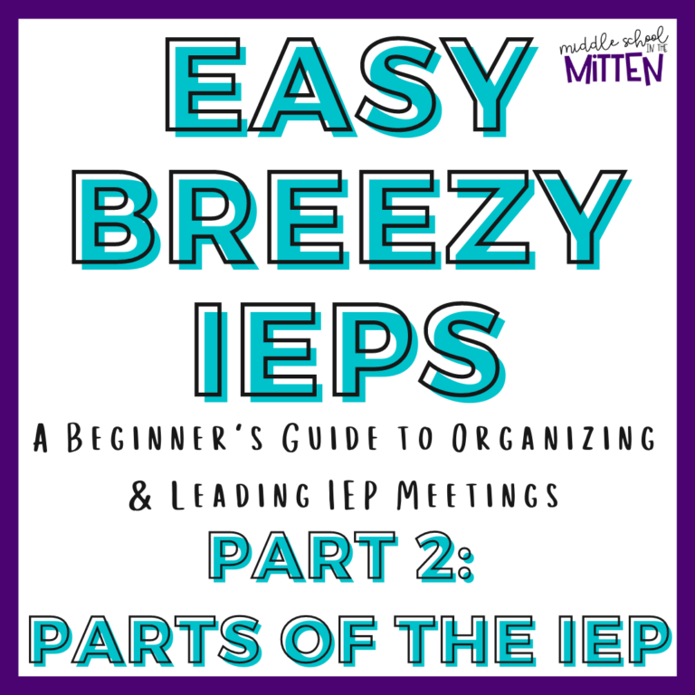 Easy Breezy IEPs: A Beginner’s Guide to Organizing & Leading IEP Meetings – Part 2: Writing the IEP
